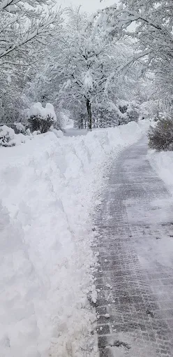 Geräumter Winterweg